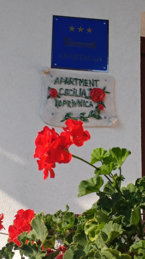 Apartment Cecilia Копривница Экстерьер фото
